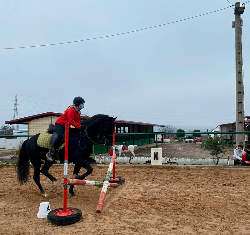 Seminario de Equitación de Trabajo en el Club Hípico Zahorí